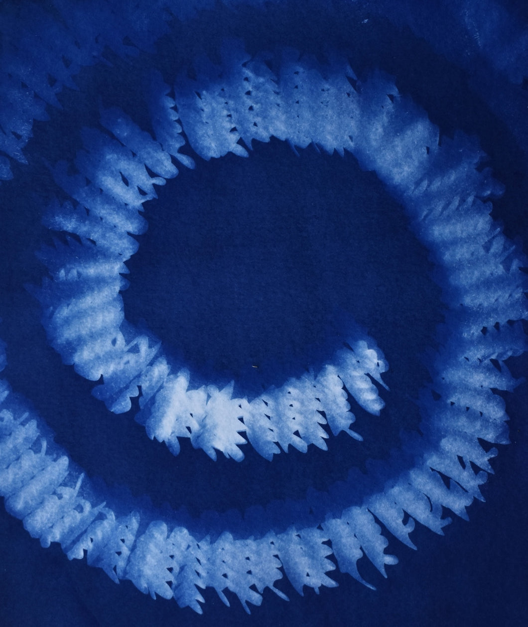 ‘Spiral’, cyanotype